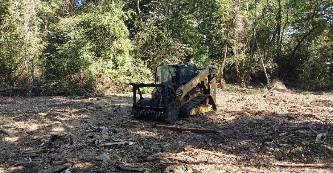 Land Clearing vs Forestry Mulching Which One Is Better